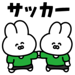 サッカーうさぎ