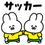 サッカーうさぎ