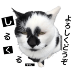 しるくるすたんぷ