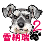 ミニチュアシュナウザー２（中国語繁体字）