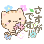 小さいトラネコ