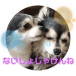 チワワ達が広島弁を喋る