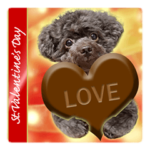 ふぉたんぷ仲間 バレンタインデー編