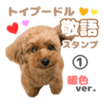 敬語のトイプードル暖色ver.〜coto〜1