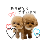 ぷまちゃんスタンプ