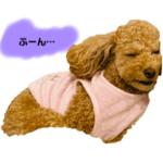 Meriaのつぶやき