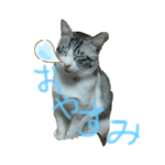 おやすみにゃんスタンプ