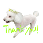 わたげのらむくん