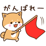 おちゃめな柴犬２