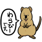 日常系クアッカワラビー