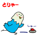 みんな大好きカーリング。