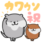 カワウソのおめでとう
