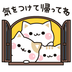 気づかいのできるネコ 家族の連絡編 Line無料スタンプ 隠しスタンプ 人気スタンプ クチコミサイト スタンプバンク