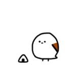 すごくかわいい鳥。