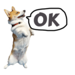 コーギーのランちゃん