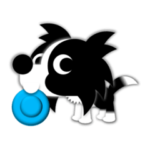 ペンネはかわいいボーダーコリー