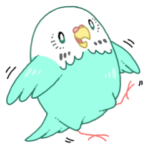 もちまる鳥 セキセイインコ編