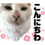 ペットの里の猫達によるスタンプ