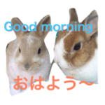 ウータンとムータン