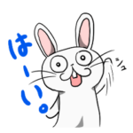 フリーダムなうさぎのウーさん