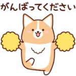 いたわりコーギー5