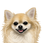 いいね～！チワワ（敬語編）