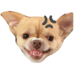 おバカ犬チワワのろこ