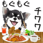 もぐもぐチワワ