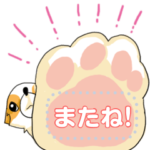 チワワでメッセージ9