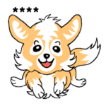 チワワ犬で幸せに！カスタム