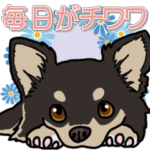 毎日がチワワ