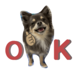 ミックス犬のモック②