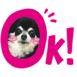 チワワのラメちゃん♡