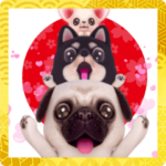 飛び出す★ワンちゃんのお正月