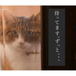 チコちゃんスタンプ①