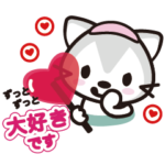 温泉ねこ後輩から先輩へ