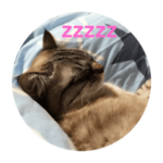 姫ネコのひとりごと