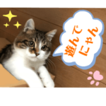 てびしスタンプ