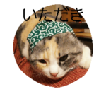 猫のどびにゃん