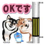 丁寧に伝えたい柴犬の敬語スタンプ