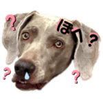 あつこのスタンプ♡