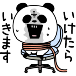 パンダダーイカれてる