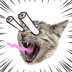 動く面白い猫 Line無料スタンプ 隠しスタンプ 人気スタンプ クチコミサイト スタンプバンク