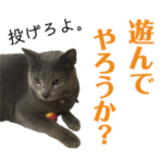 サバ夫の気持ち。3