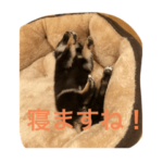 おやつちょうだい！