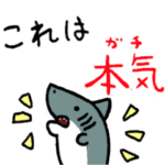 サメとカエルと時々クマ