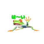 動く！カエルのオリバくん。