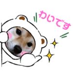 チャリティースタンプ3