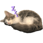 愛するペットたち