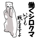働くしろくま